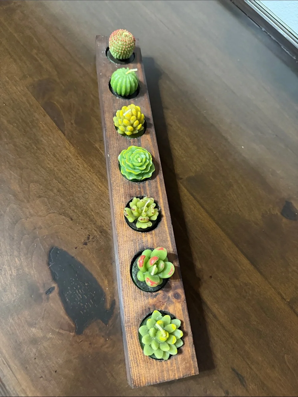 Succulent Planter with 7 succulent candles